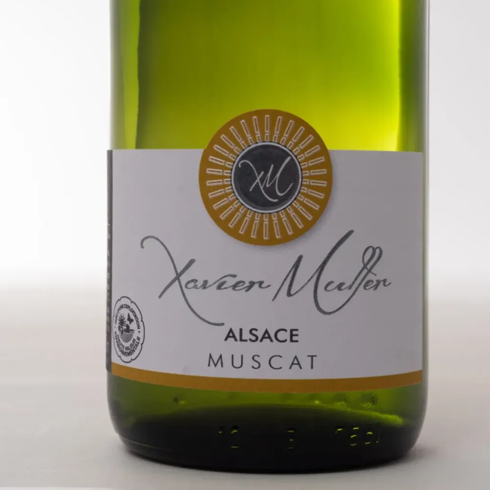 Muscat