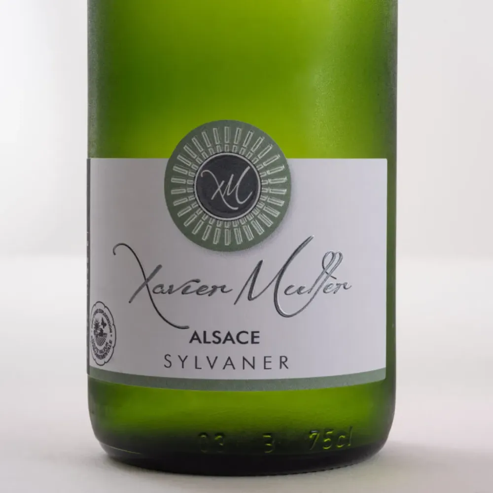 Sylvaner