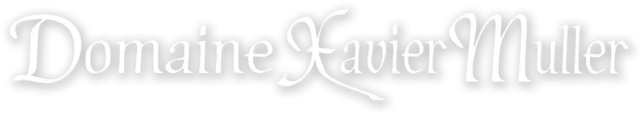 logo-hero