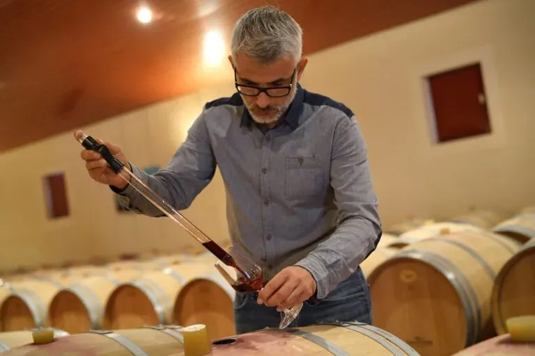 Vente de vin au domaine près de Brumath