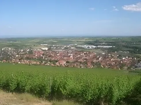 Viticulteur route des vins Alsace près de Brumath